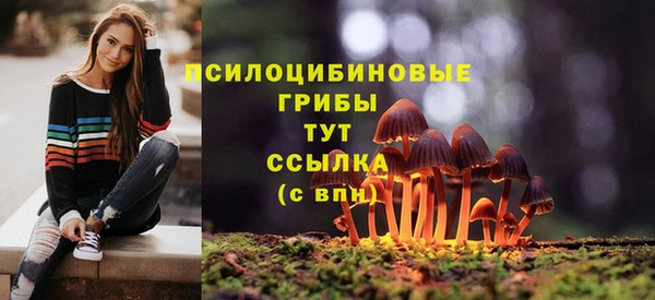 скорость mdpv Протвино