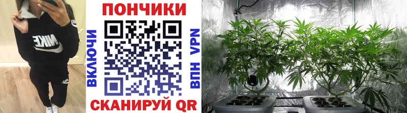 МАРИХУАНА Amnesia  где продают наркотики  Агрыз 